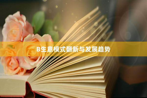 B生意模式翻新与发展趋势