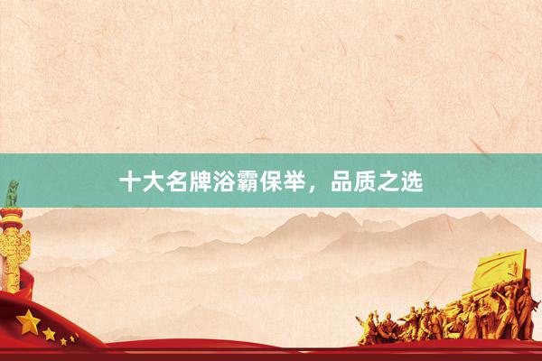 十大名牌浴霸保举，品质之选
